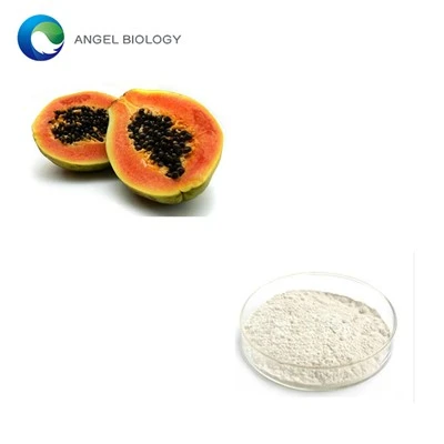 Can Papain Powder Be Used for Meat Tenderizing?